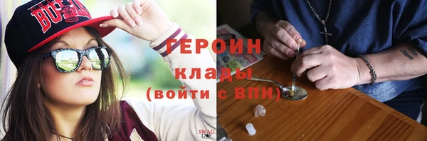 прущие грибы Новодвинск