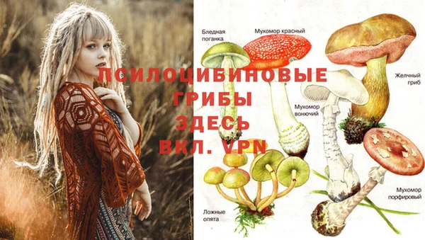 мяу мяу кристалл Алексеевка