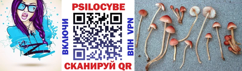 ссылка на мегу зеркало Ахтубинск Галлюциногенные грибы GOLDEN TEACHER