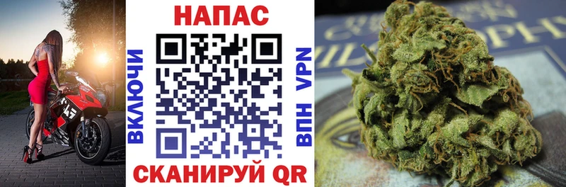 купить наркотик  Ахтубинск  Бошки Шишки OG Kush 